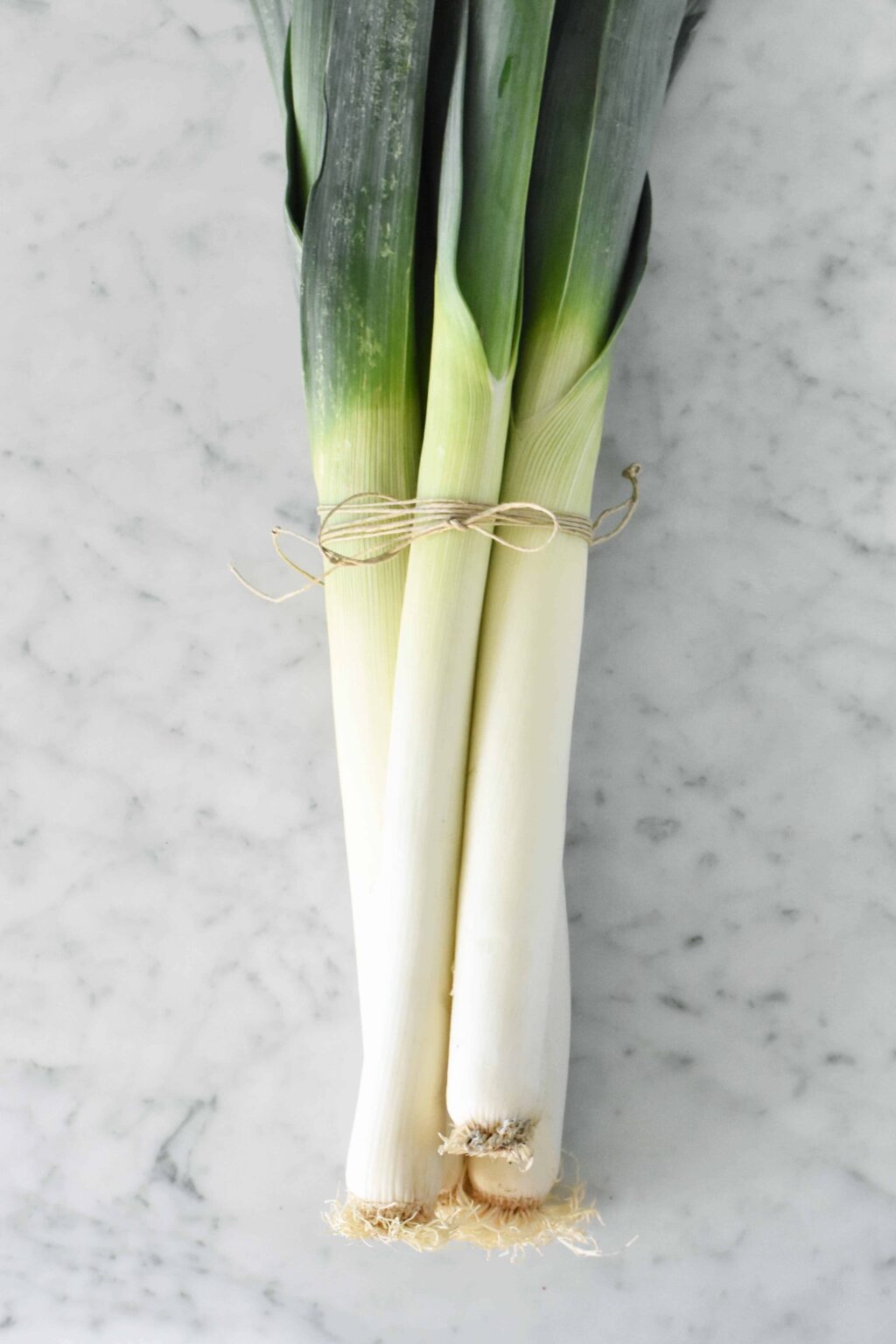 SPRING: what is in season? • Leeks and High Heels