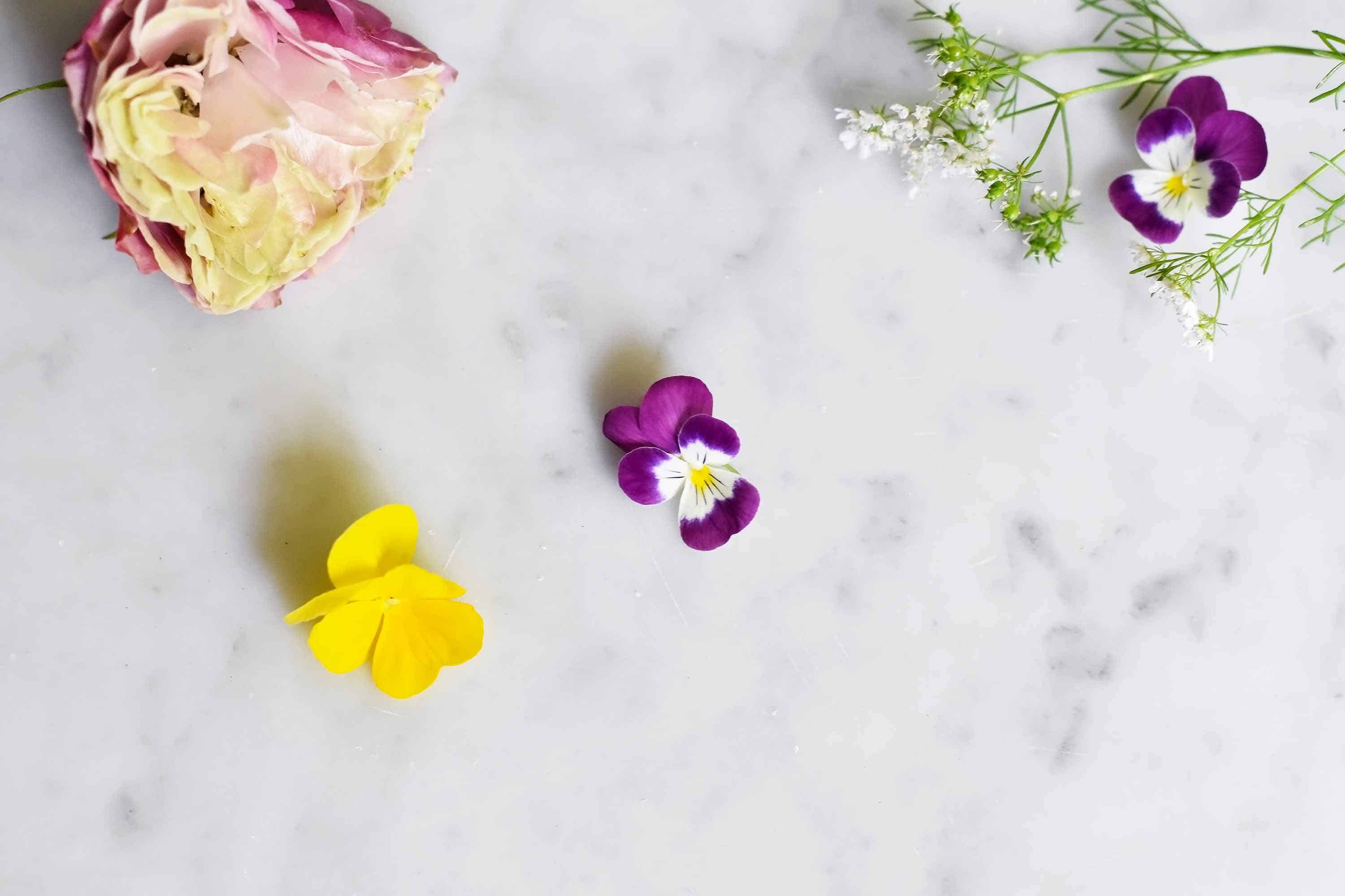 A Complete Guide to Edible Flowers for Drinks and Cocktails